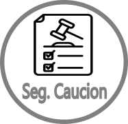 Seguro de Caución