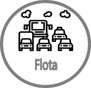 Flota de Vehículos