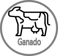 Ganado
