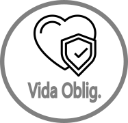 Seguro de Vida Obligatorio